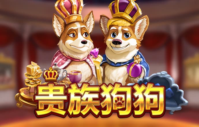 bck体育平台手机APP